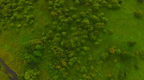 Aerial View. Flying over the river green trees at sunset with sun. Vídeos de archivo 65488367
