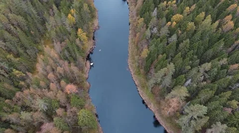 Aerial view flying over river with autumn forest Stock Footage 68073253
