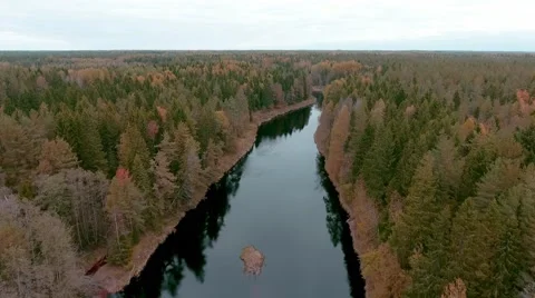Aerial view flying over river with autumn forest Stock Footage 68073669