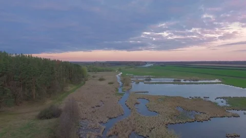 Aerial View. Flying over the River near pine forest Stock Footage 74629929