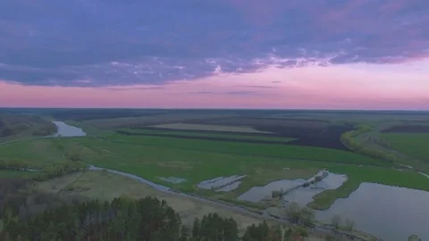 Aerial View. Flying over the River near pine forest Stock Footage 74631116