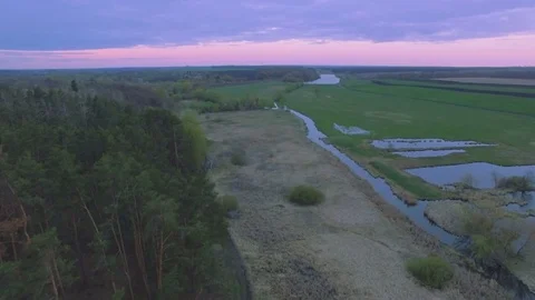 Aerial View. Flying over the River near pine forest Stock Footage 74633606