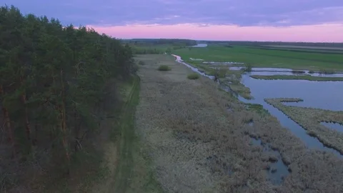 Aerial View. Flying over the River near pine forest Stock Footage 74633924