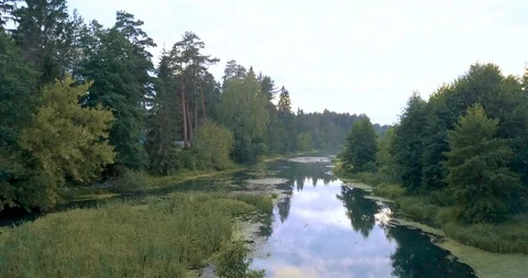Aerial view. Flying over the river. Video stock 97289014