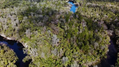 Aerial View: Flying Over The River. Forest Valley. Cloudy Day. Stock Footage