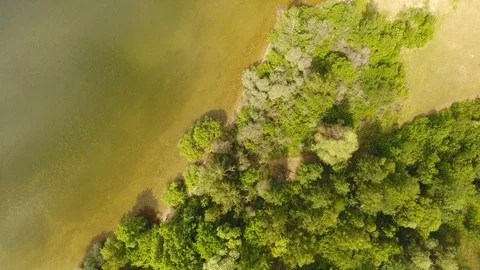 Aerial View. Flying over the river with trees on a sunny day. Aerial drone shot. 動画素材 109460195