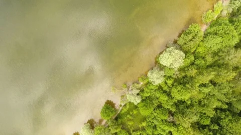 Aerial View. Flying over the river with trees on a sunny day. Aerial drone shot. 動画素材 109460623