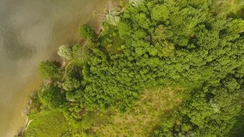 Aerial View. Flying over the river with trees on a sunny day. Aerial drone shot. 動画素材 109463277