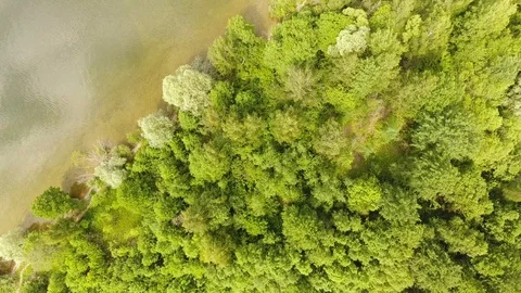 Aerial View. Flying over the river with trees on a sunny day. Aerial drone shot. 動画素材 109463364
