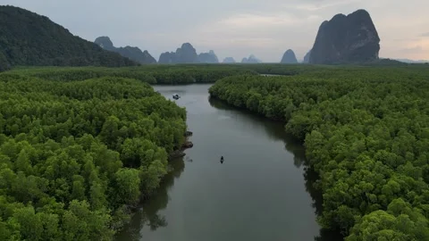 Aerial View Flying Over River and Mangrove Forest in Phang Nga, Thailand Stock Footage 335254367