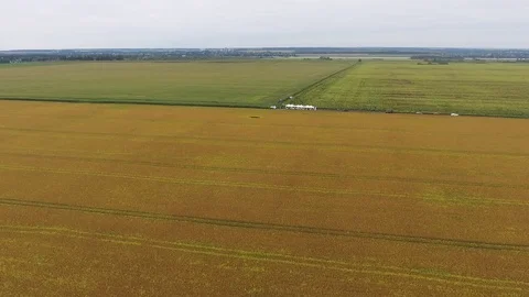 Aerial View. Flying over the road, field. Aerial camera shot. Stock Footage 88216015