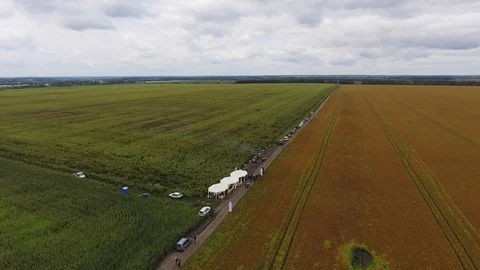 Aerial View. Flying over the road, field. Aerial camera shot. Stock Footage 89412716