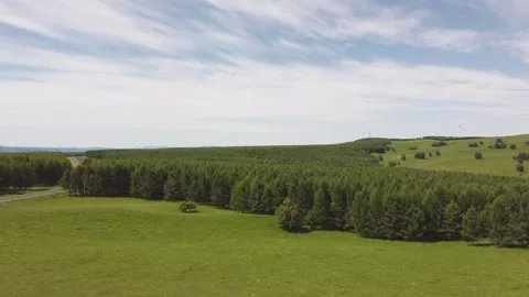 Aerial view flying over rolling green hills and forest Stock Footage 318664596