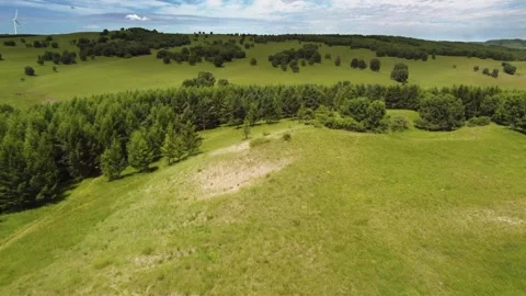 Aerial view flying over rolling green hills and forest Stock Footage 318768976