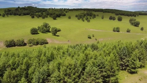 Aerial view flying over rolling green hills and forest Stock Footage 318769237