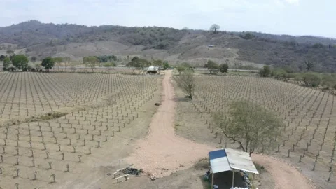 Aerial view flying over a small dirt road of a farm r Stock Footage 146755109