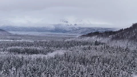 Aerial view flying over snowy winter forest and mountains, Norway Vidéo 339782838