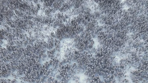 Aerial view flying over snowy winter forest landscape, Norway Stock-Footage 340038038