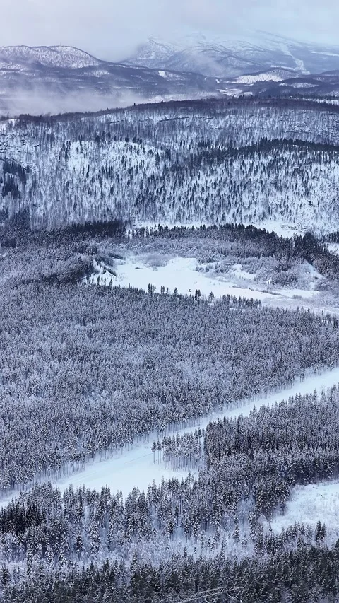 Aerial view flying over snowy winter forest landscape, Norway Vidéo 345094372
