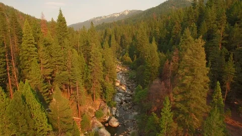 Aerial view flying over stream winding through a forest.. Late afternoon. 库存影片 89352127