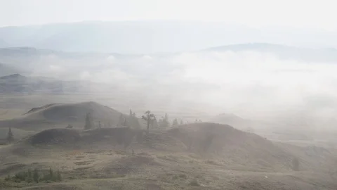Aerial view Flying over a thick foggy field before sunrise Pine trees in the fog Stock Footage 124863332