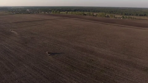 Aerial view flying over the top of a combine harvester and tractor in a field Stock Footage 85696041