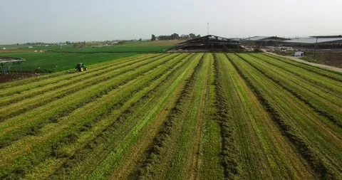 Aerial view flying over a tractor harvest Stock Footage 220347716