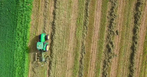 Aerial view flying over a tractor harvesting crop in a field at spring season Stock Footage 220347735