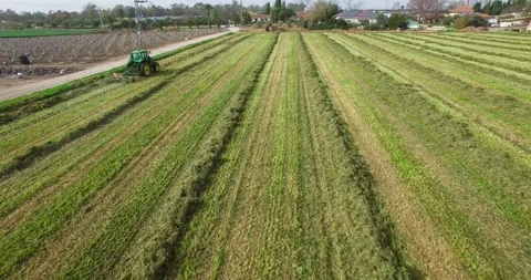 Aerial view flying over a tractor harvesting crop in a field at spring season Stock Footage 220347782