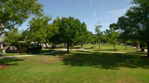 Aerial View Flying Over Trees and Walkway in Park During The Day Stock Footage 62356372