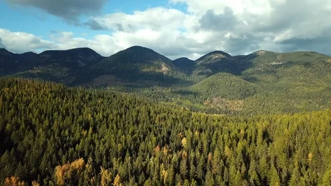 Aerial view: Flying over trees in the mountains with beautiful light Stock Footage 100566504