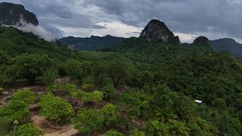 Aerial View Flying Over Tropical Jungle and Mountains in Ao Nang, Krabi, Video stock 335961747