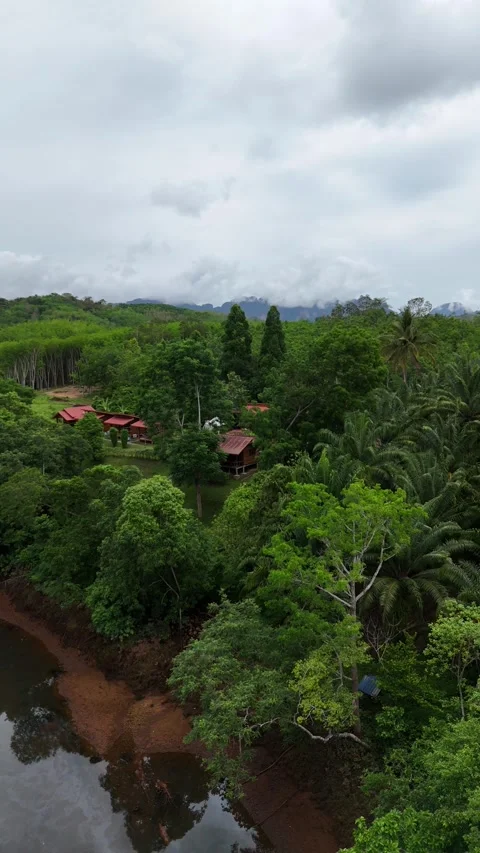 Aerial View Flying Over Tropical River and Rainforest in Khao Sok, Thailand Stock Footage 335962406