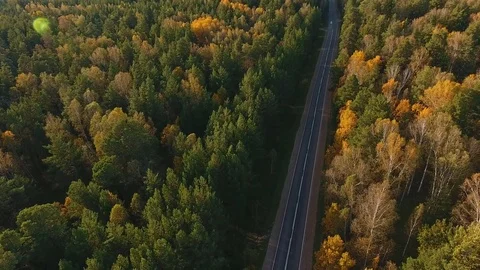 Aerial view flying over two lane forest road with cars moving. Stock-Footage 80900728
