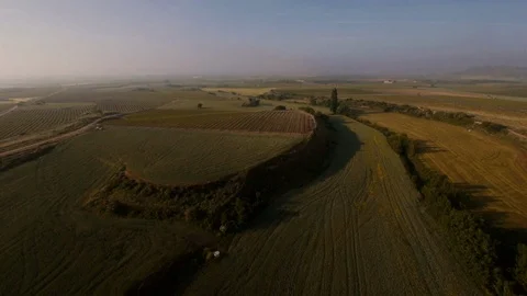 Aerial view. Flying over vine yards in La Rioja, Spain Stock Footage 97984287