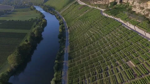 Aerial view flying over vineyard Germany Stock Footage 55452054