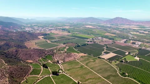 Aerial view flying over vineyard patchwork agricultural landscape in the Stock-Footage 236983860
