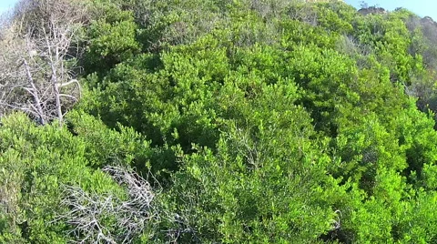 Aerial View Flying up a Sandstone Hill Stock Footage 45569984