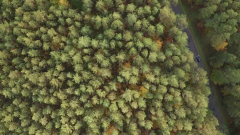 Aerial view, flying sideways over old patched two lane forest road with three Stock Footage 122811554