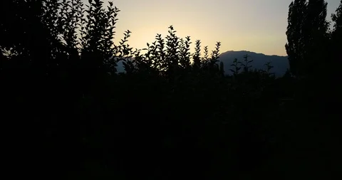 Aerial view flying at Sunset Stock Footage 114219718
