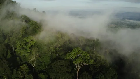 Aerial view, Flying through the clouds above mountain top. Overtake shot Stock Footage 199344522
