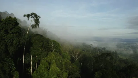 Aerial view, Flying through the clouds above mountain top. Overtake shot Stock Footage 203496134