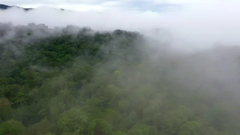 Aerial view, flying through the mist and... | Stock Video | Pond5