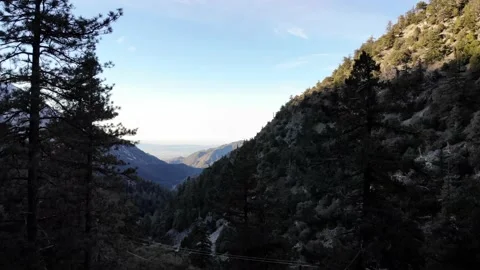 Aerial View Flying Through Trees with Mountains and Snow Stock Footage 142303068