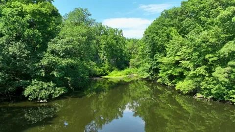Aerial View Flying Through Trees Over Pond Stock Footage 200605002