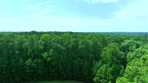 Aerial View Flying Toward Trees Looking Down With Blue Sky Stock Footage 198203986