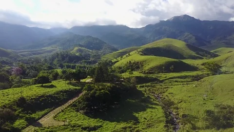 Aerial View. Flying Up the Tree and Landscape of Pasture and Mountains 库存影片 76959702