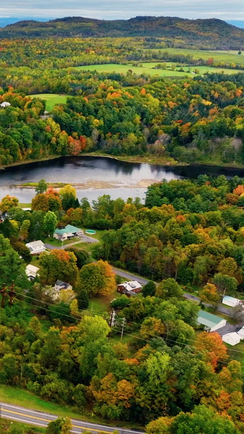 Aerial view flyover pine trees of beach and lake in green autumn forest. Stock Footage 302591649