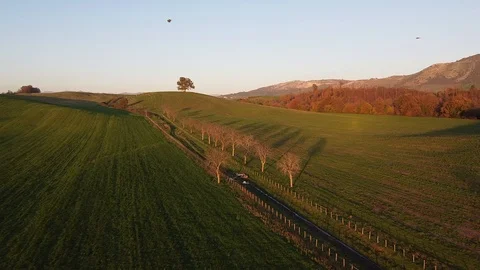 Aerial view Vidéo 121230801