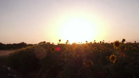 Aerial view Stock Footage 135816425